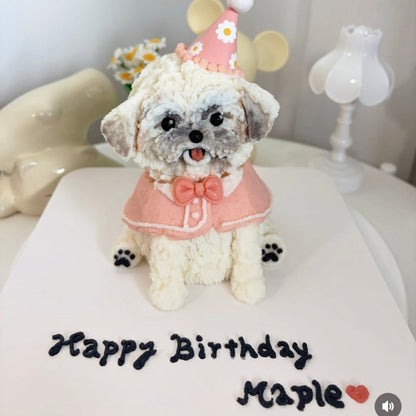3D Cake (Cape design)