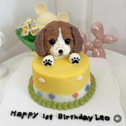 3D Face Cake (Flower theme)