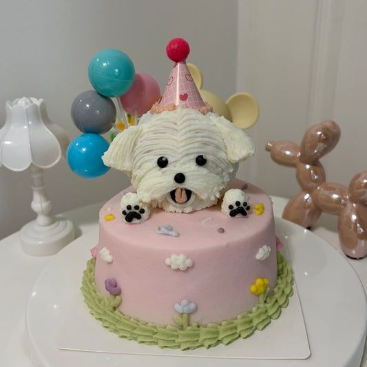 3D Face Cake
