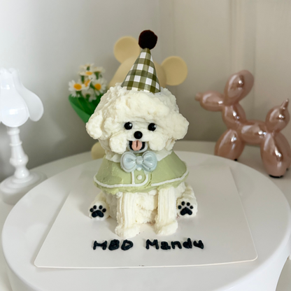 3D Cake (Cape design)